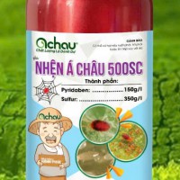 Nhện Á Châu 500SC- Chai 450ml