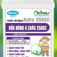 Thuốc Trừ Bệnh RỬA BÔNG Á CHÂU 250SC - chai 200ml
