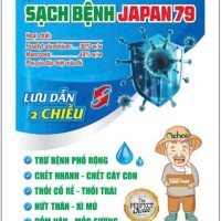 Sạch Bệnh Japan - 79 gói 100gr